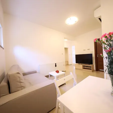 Magnolia プリヴラカ