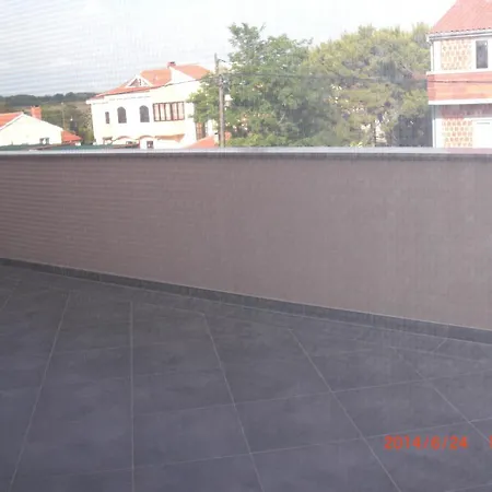 Magnolia プリヴラカ